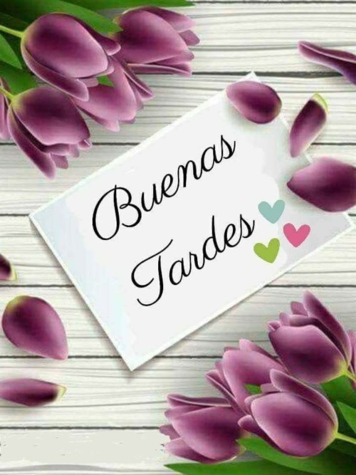 Dedicada a mis seguidores y fans.