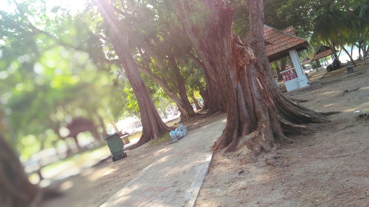 Beside The beach