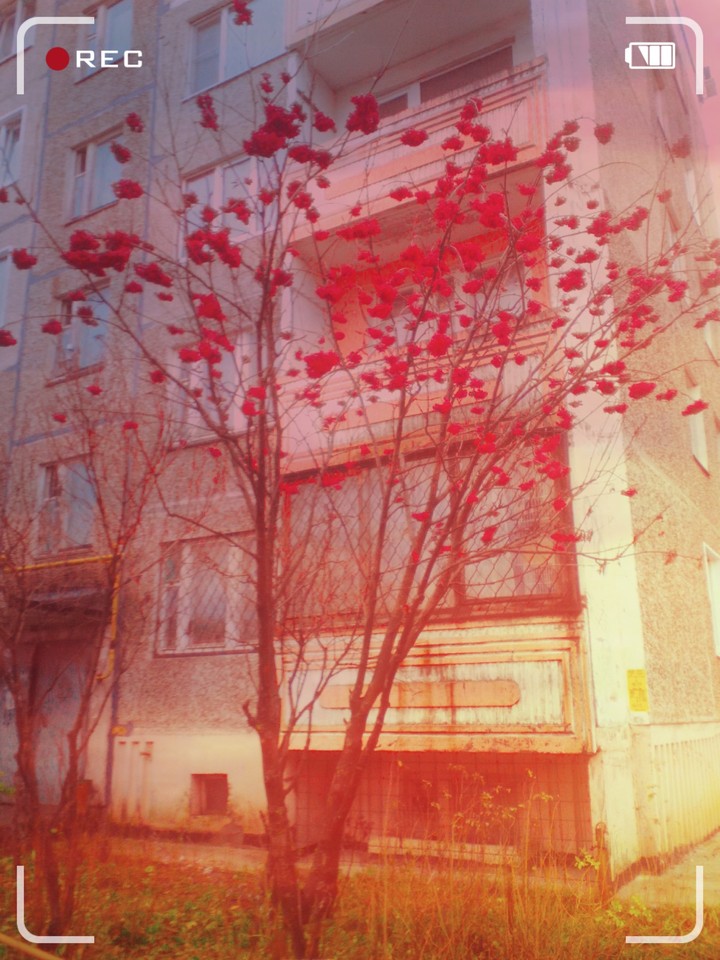 осень