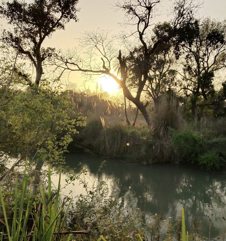 calmness