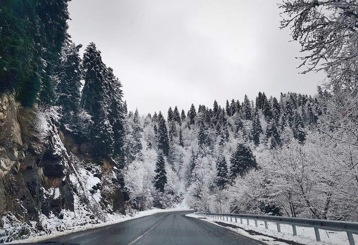 Snowy Road