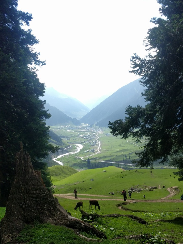 The village in valley