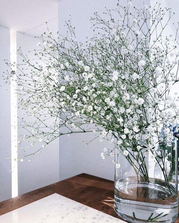 A baby’s breath Kasmisou ❤
