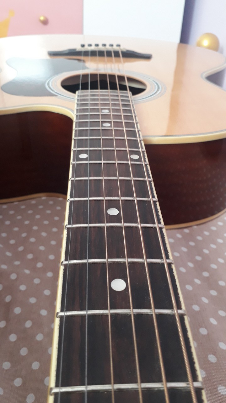 Meu Violão