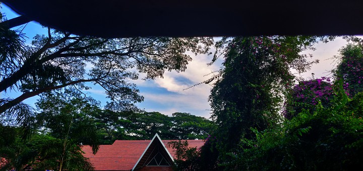 Resort