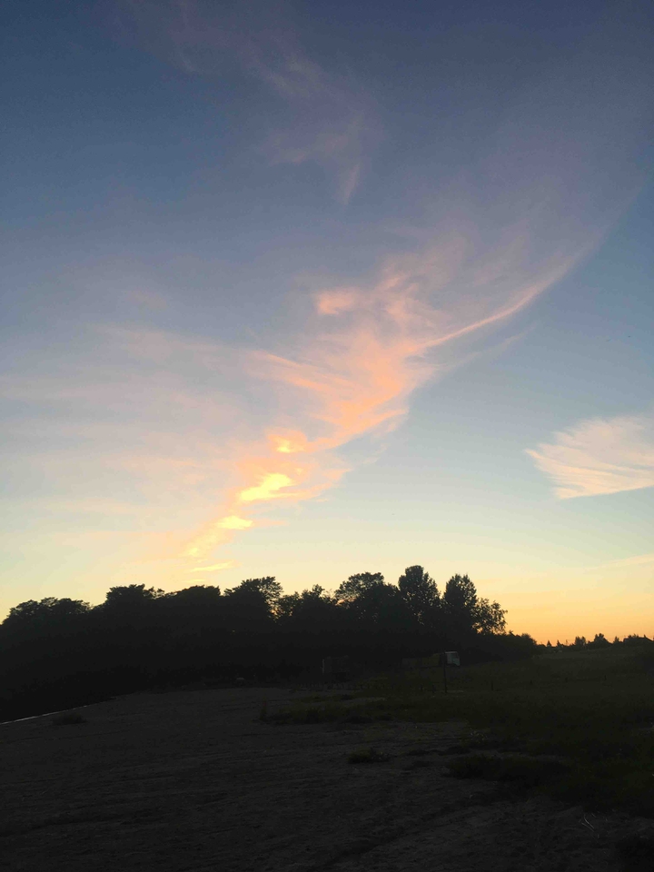 sunset