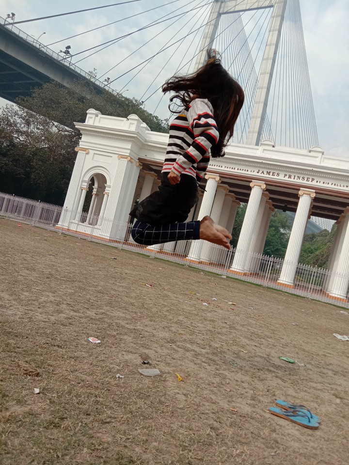fly