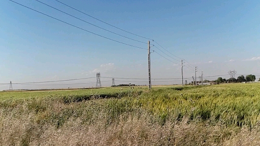 countryside