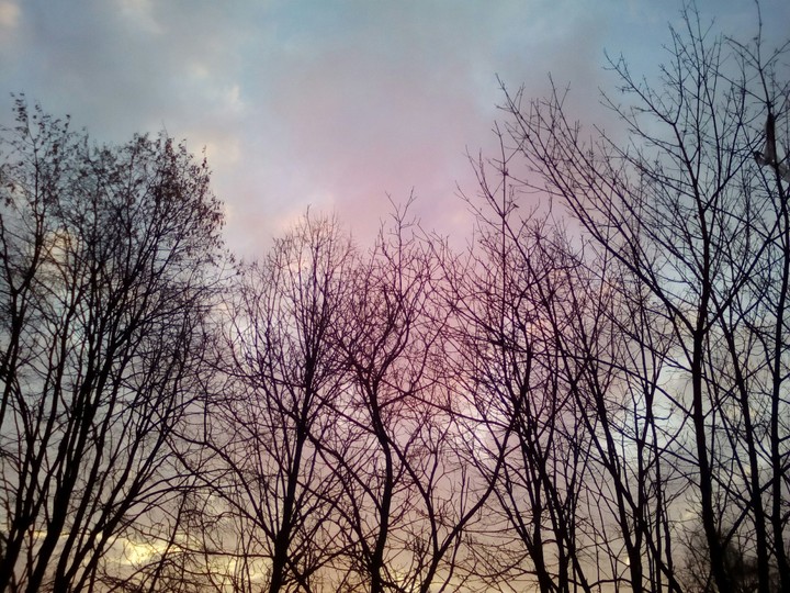 evening 