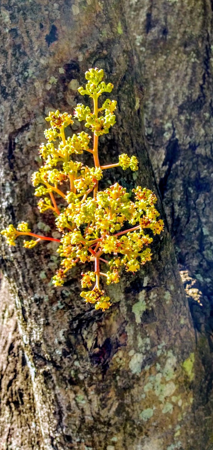 natureza, bela natureza!