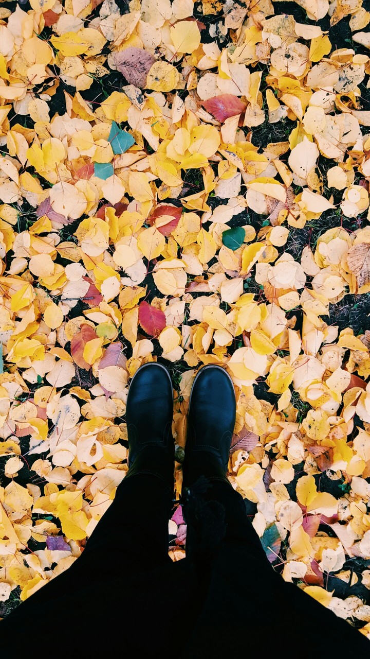 Autumn