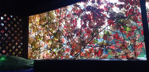 sfondi Art, window