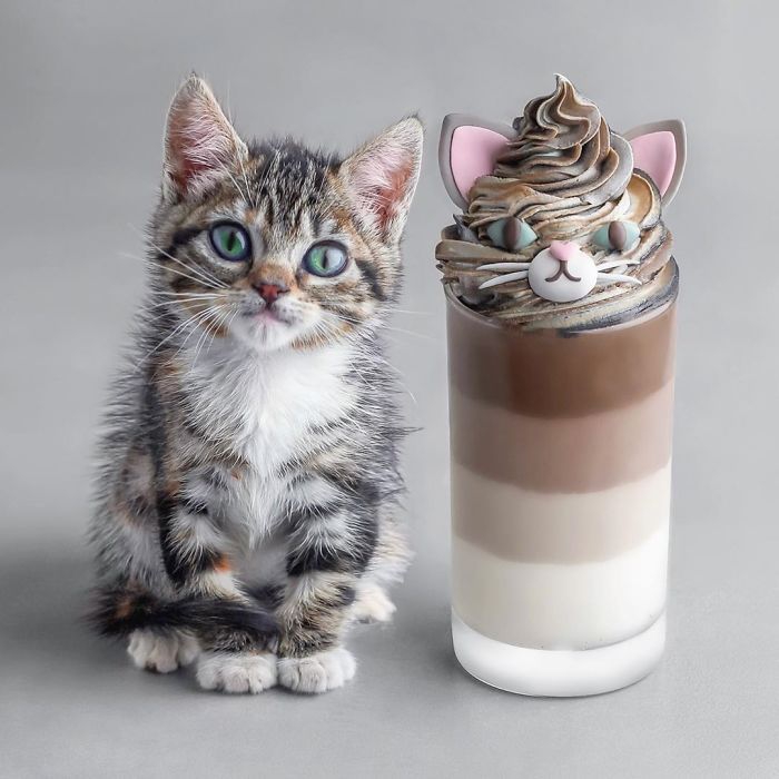 (≈ㅇᆽㅇ≈)♡