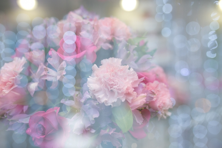 RoseBed