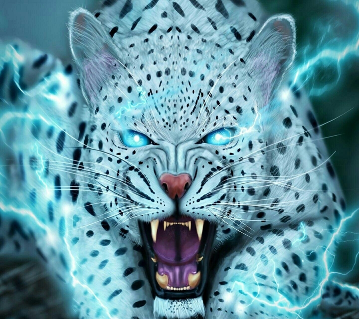 tiger