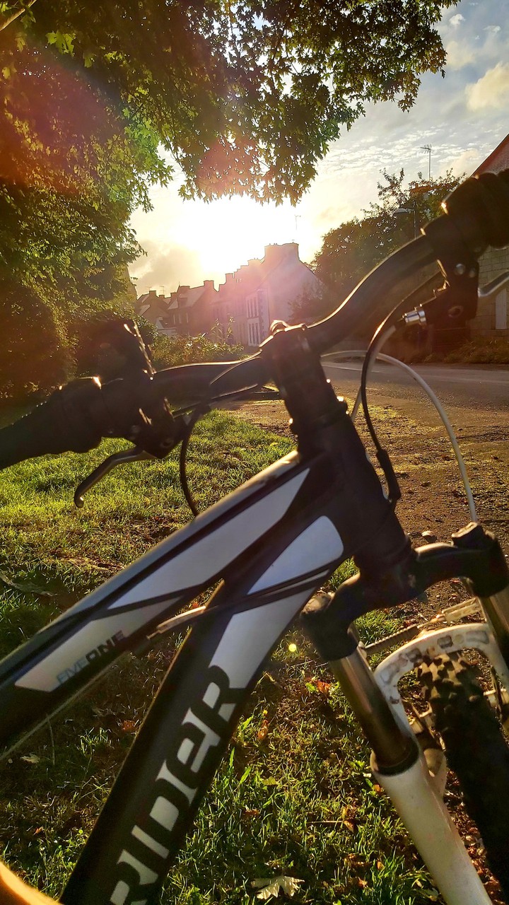 bike