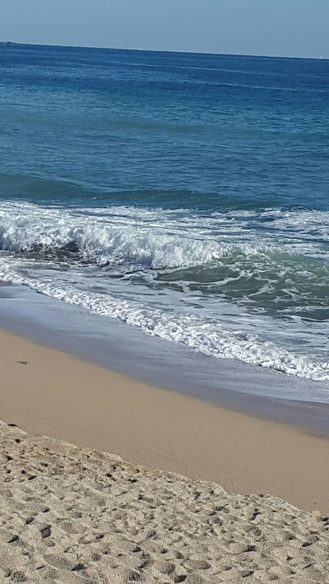 Olas