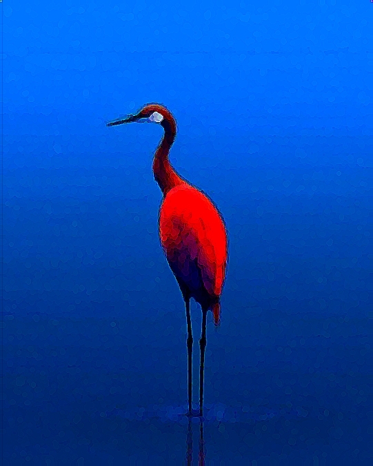 .