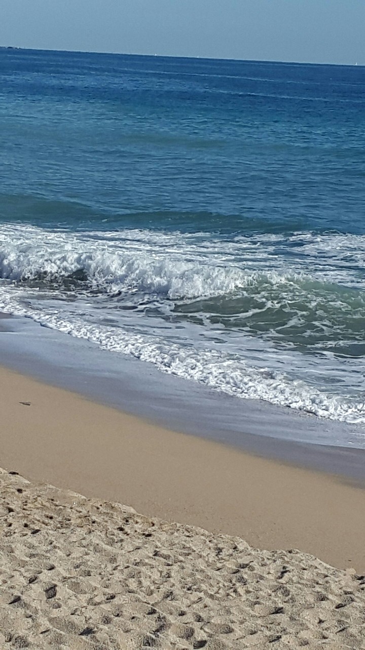 Olas