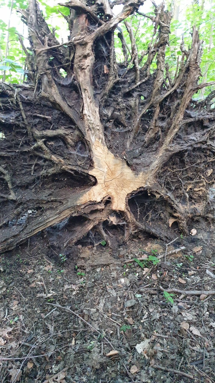 ??