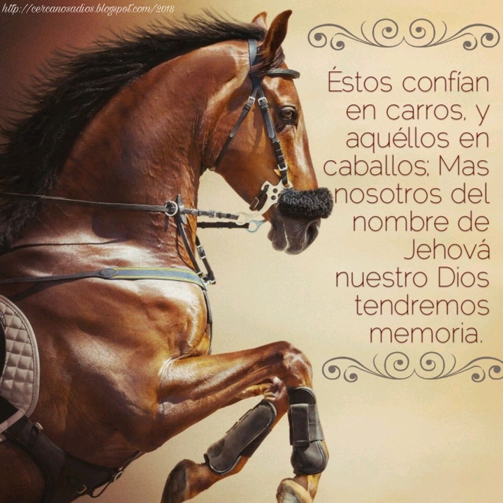 Postal cristiana