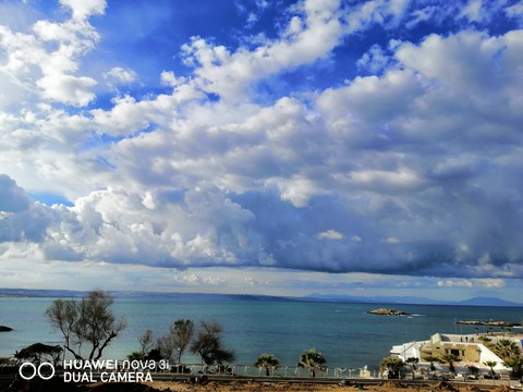 palge