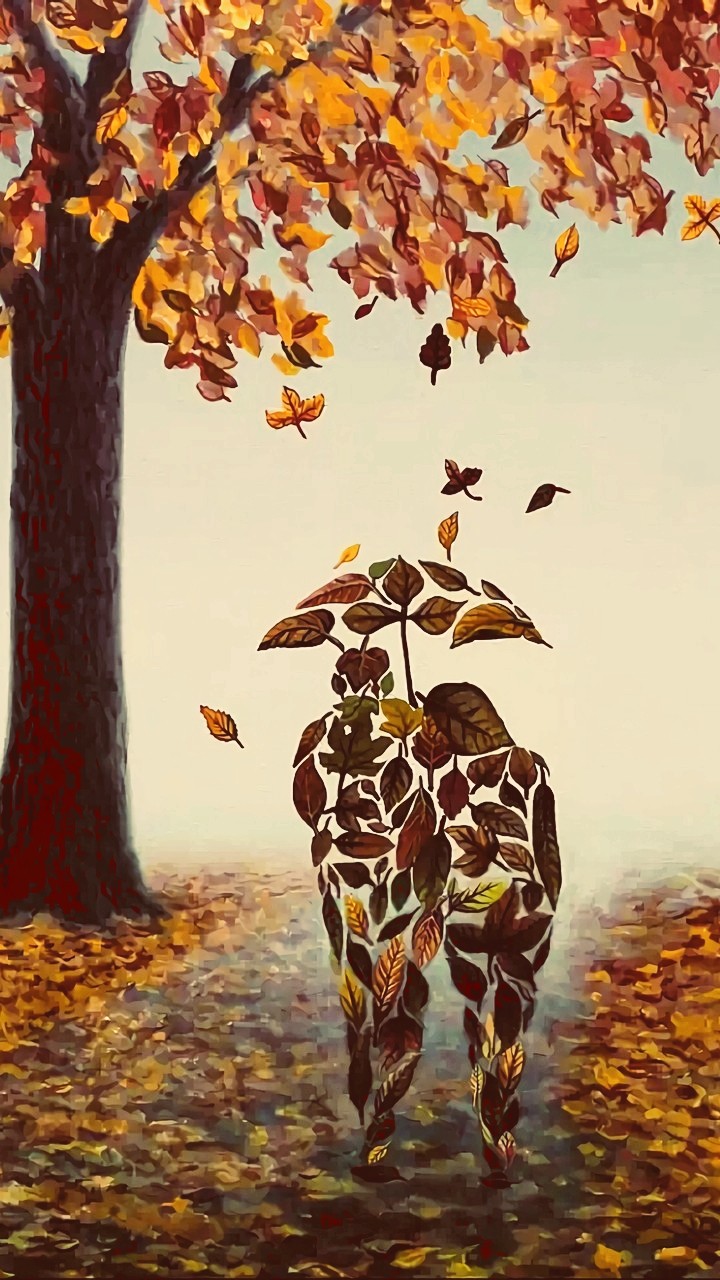 Nature's Beauty