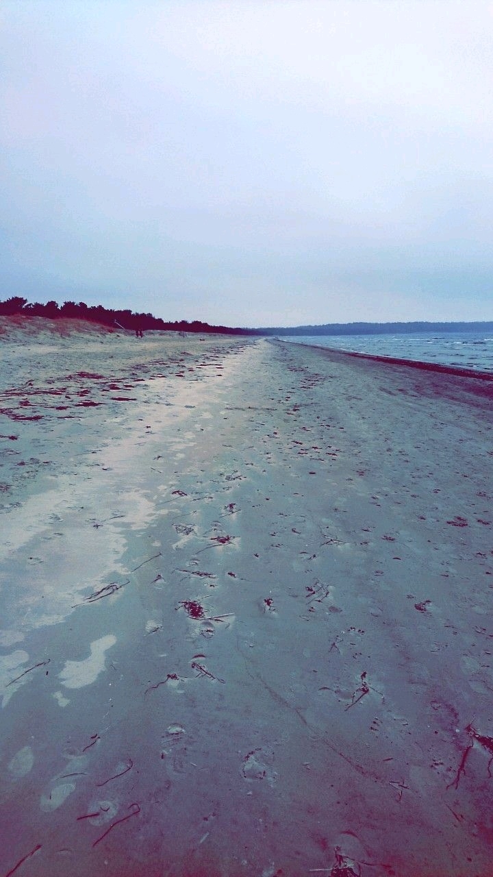 Freedom