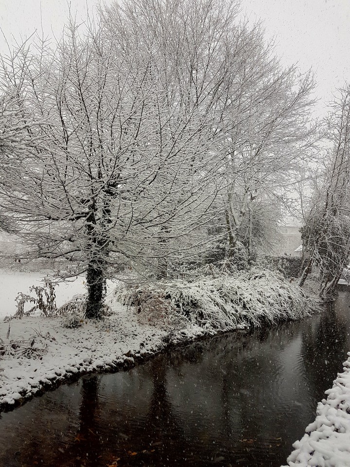Winter
