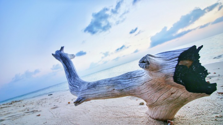 Maldives