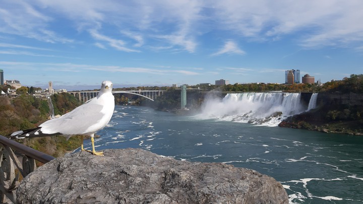 Niagara Falls