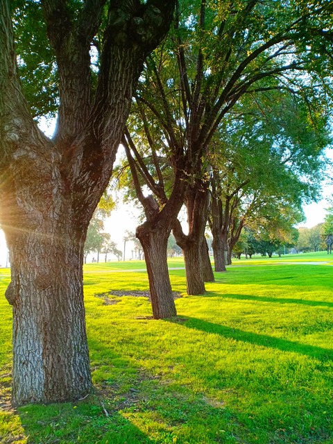 Park