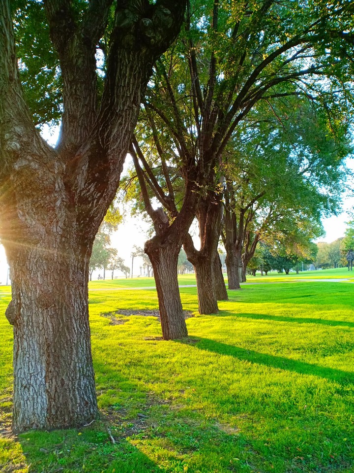 Park