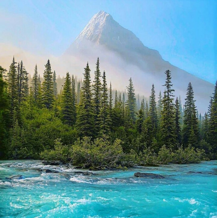 magnifique nature.