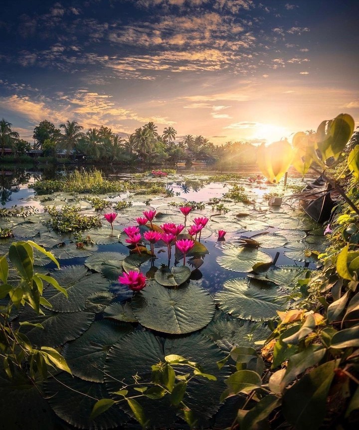 #lake