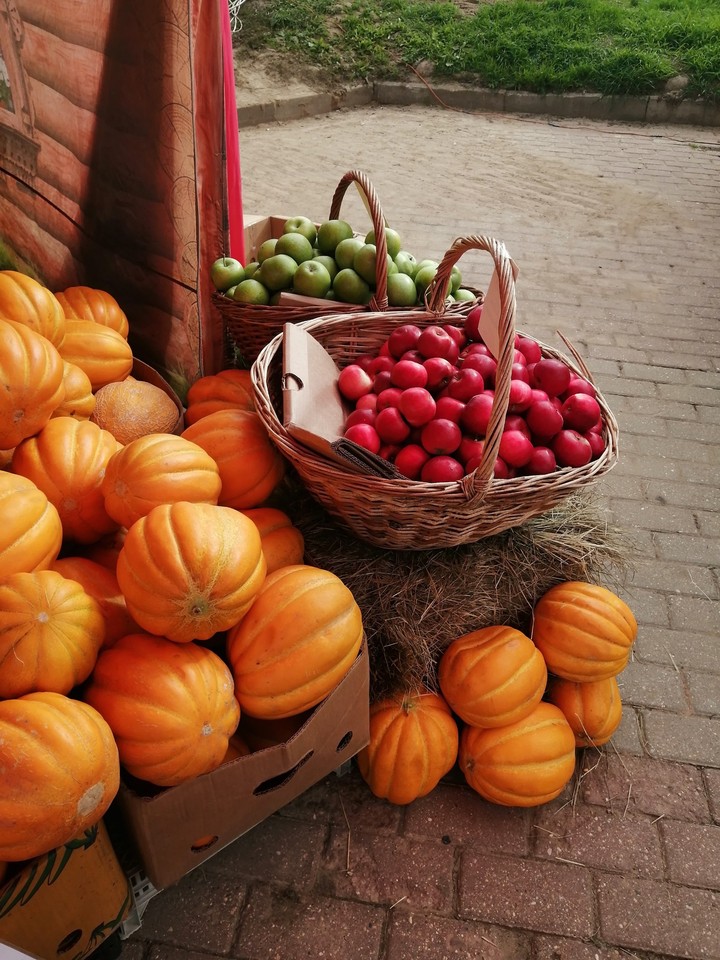 autumn pumpkin