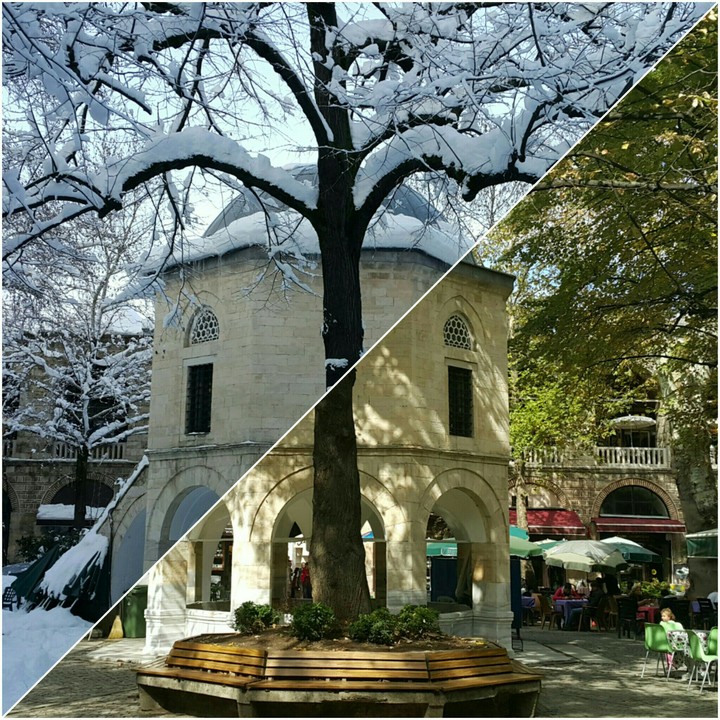 Summer vs Winter