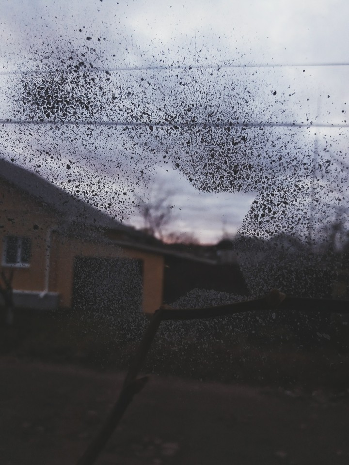 зима