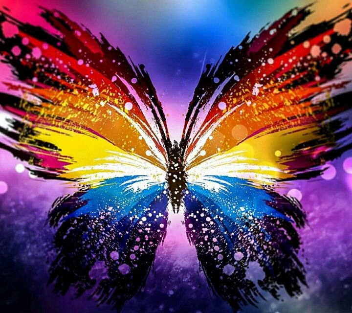 butterfly