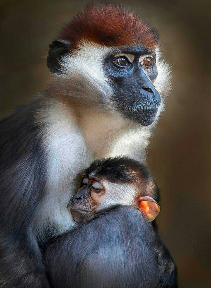 A Big Hug for MOM