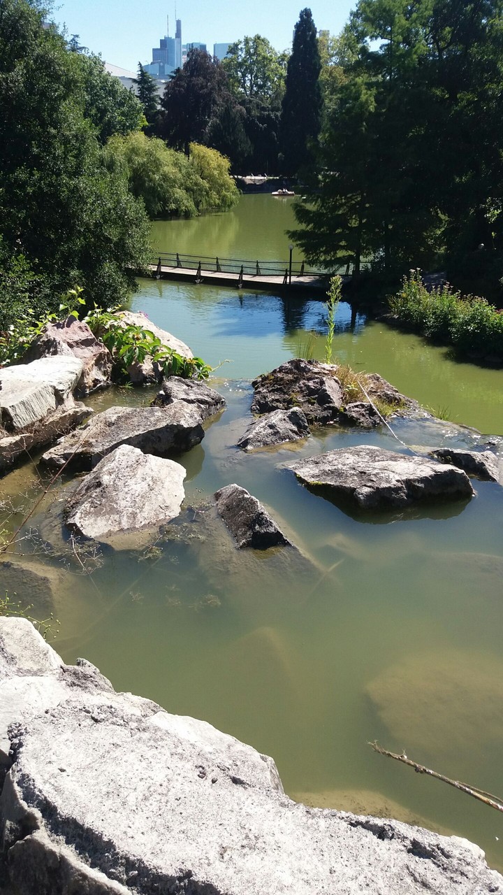 Green water