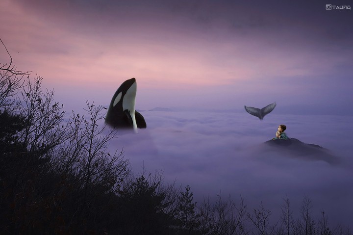 Cloud whale