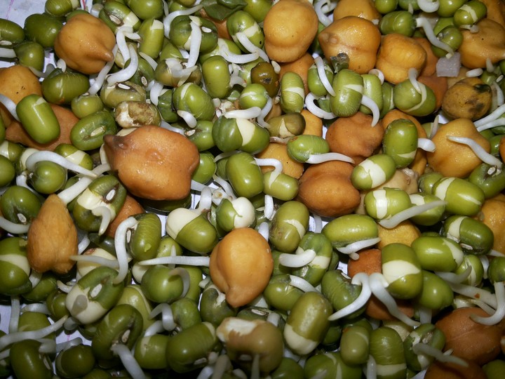 sprouts