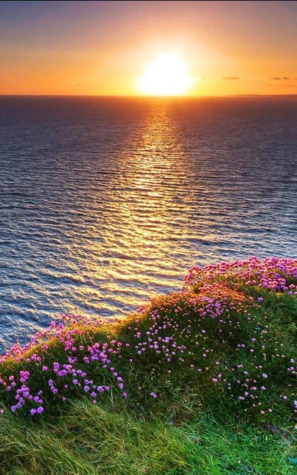sea