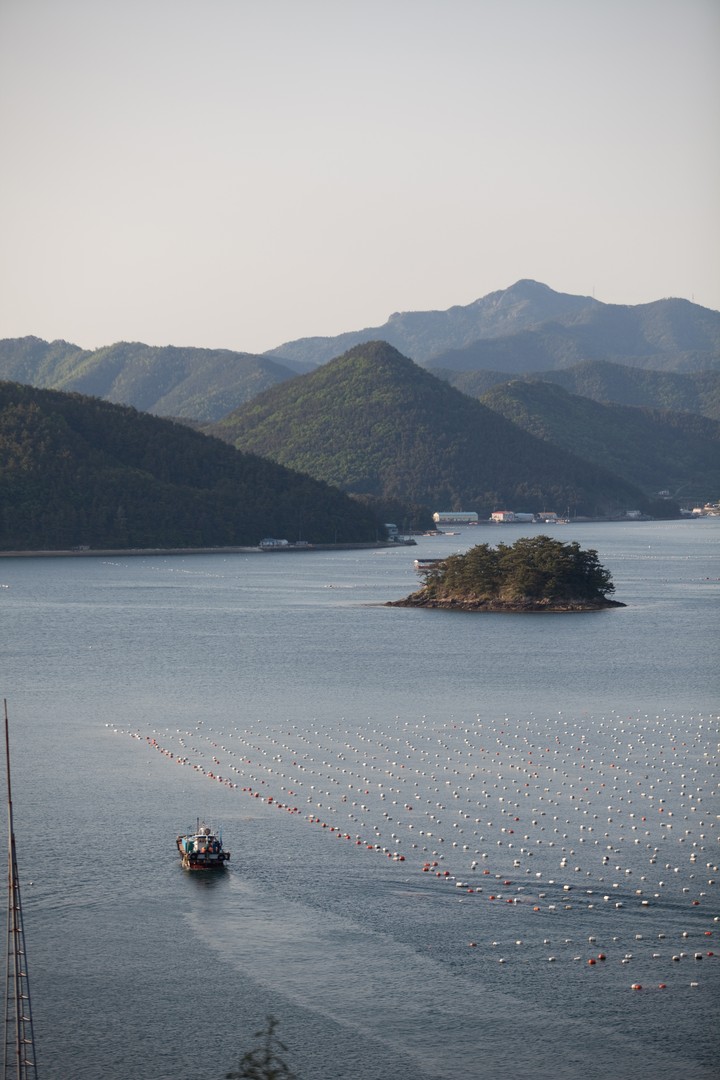 Asia