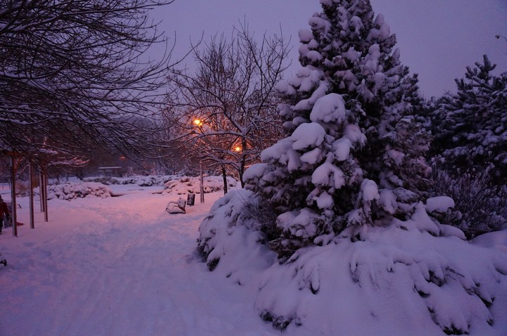 Winter landscape