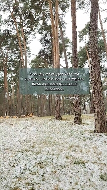 афоризмы