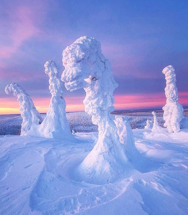 Winter