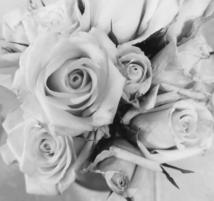Black and white roses