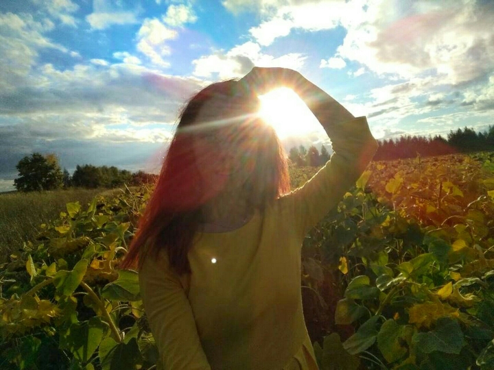 В поисках кукурузы